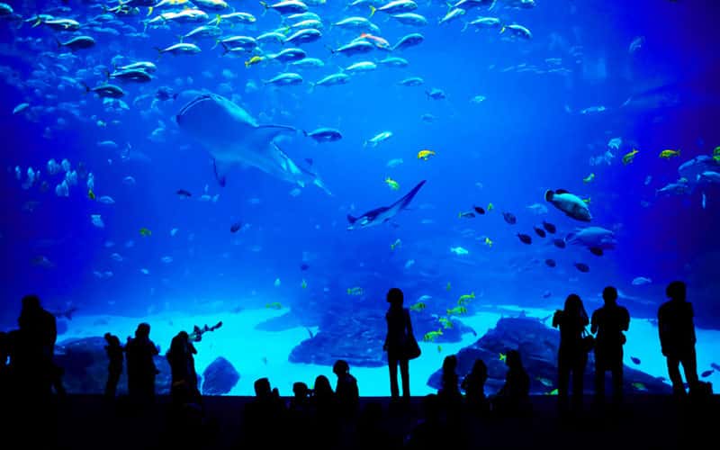 Grand Aquarium de Saint-Malo